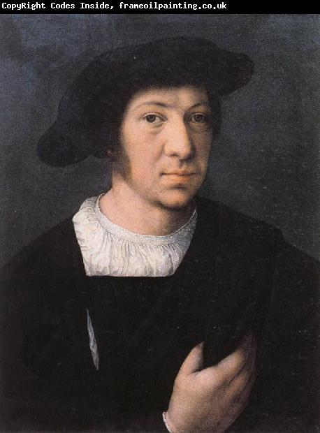 Bernard van orley Portrait of a Man